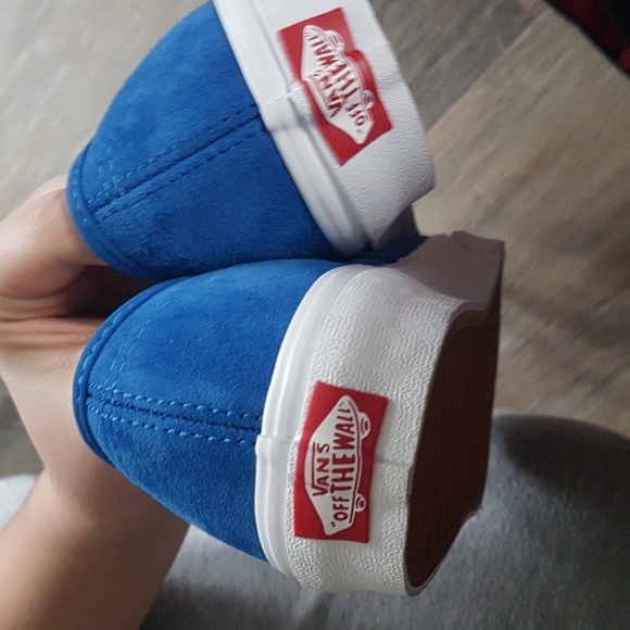 Blue Van's - Picture 8 of 8